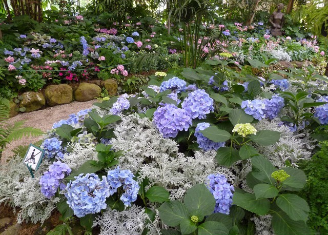 DISPLAY 1 - Hydrangea / Fuchsia  (1 of 7)