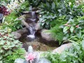 DISPLAY 3 - Tropical / Poinsettia  (4 of 7)