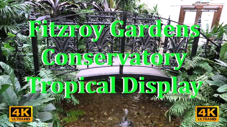 Tropical Display