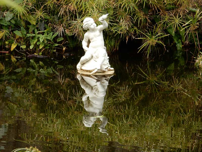 Boy On The Turtle