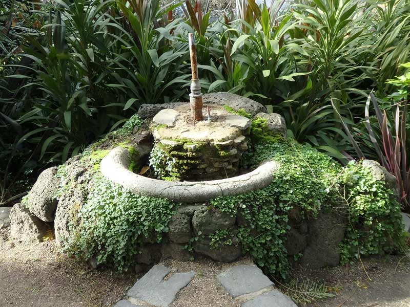 Boy and Urn Stolen