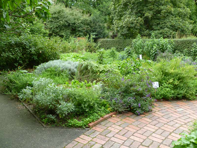 Cooks' Cottage Garden