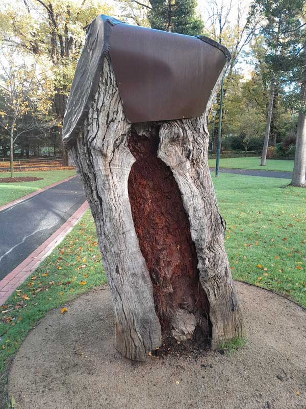 Scarred Tree